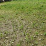 received_1430308130660857