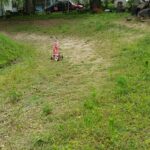 received_255492542693132