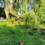 355299467_992654985083421_3315119999614450737_n